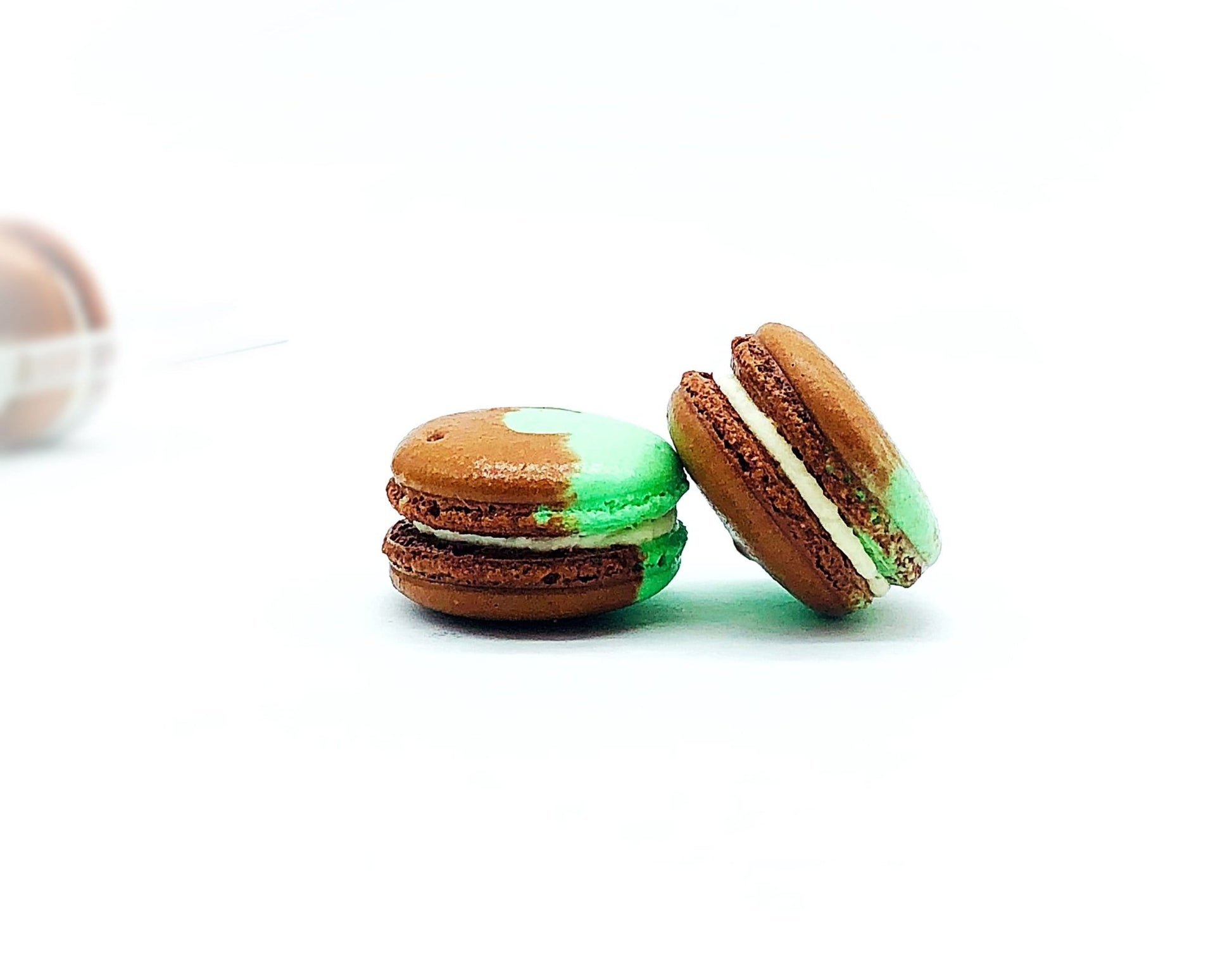 50 Pack Agave French Macaron Value Pack - Macaron Centrale