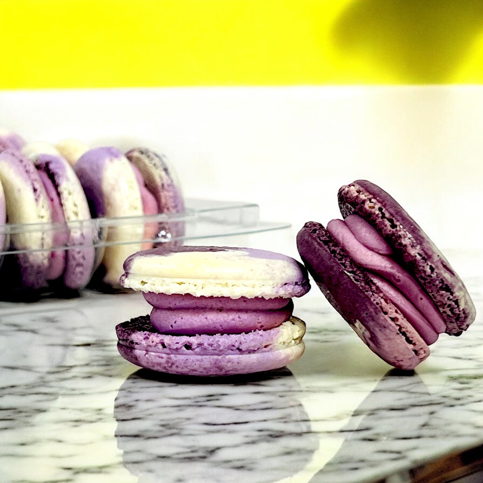 50 Pack Hibiscus Plum French Macaron Value Pack - Macaron Centrale