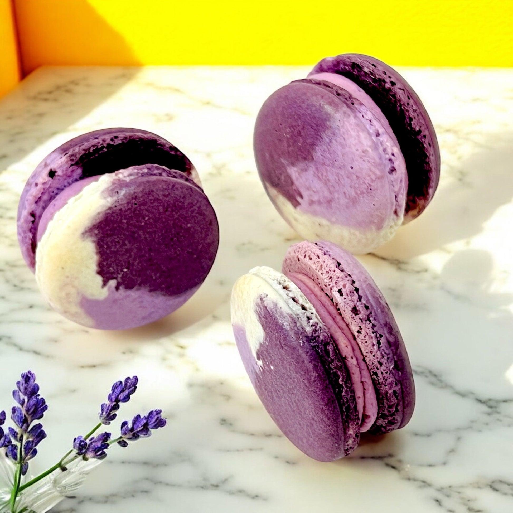 50 Pack Hibiscus Plum French Macaron Value Pack - Macaron Centrale