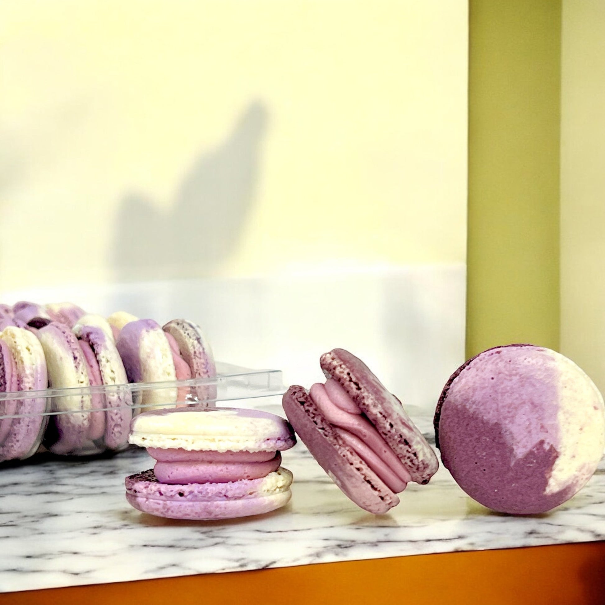 50 Pack Hibiscus Plum French Macaron Value Pack - Macaron Centrale
