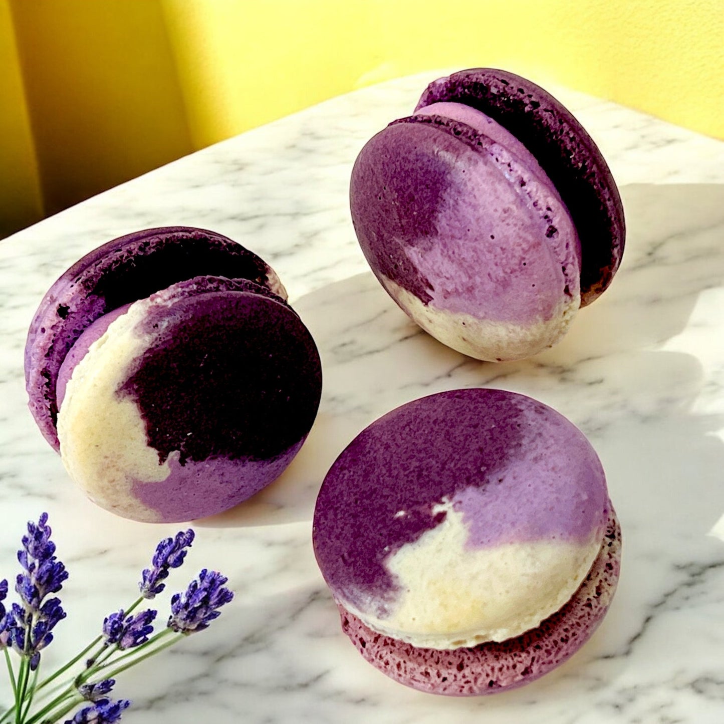 50 Pack Hibiscus Plum French Macaron Value Pack - Macaron Centrale