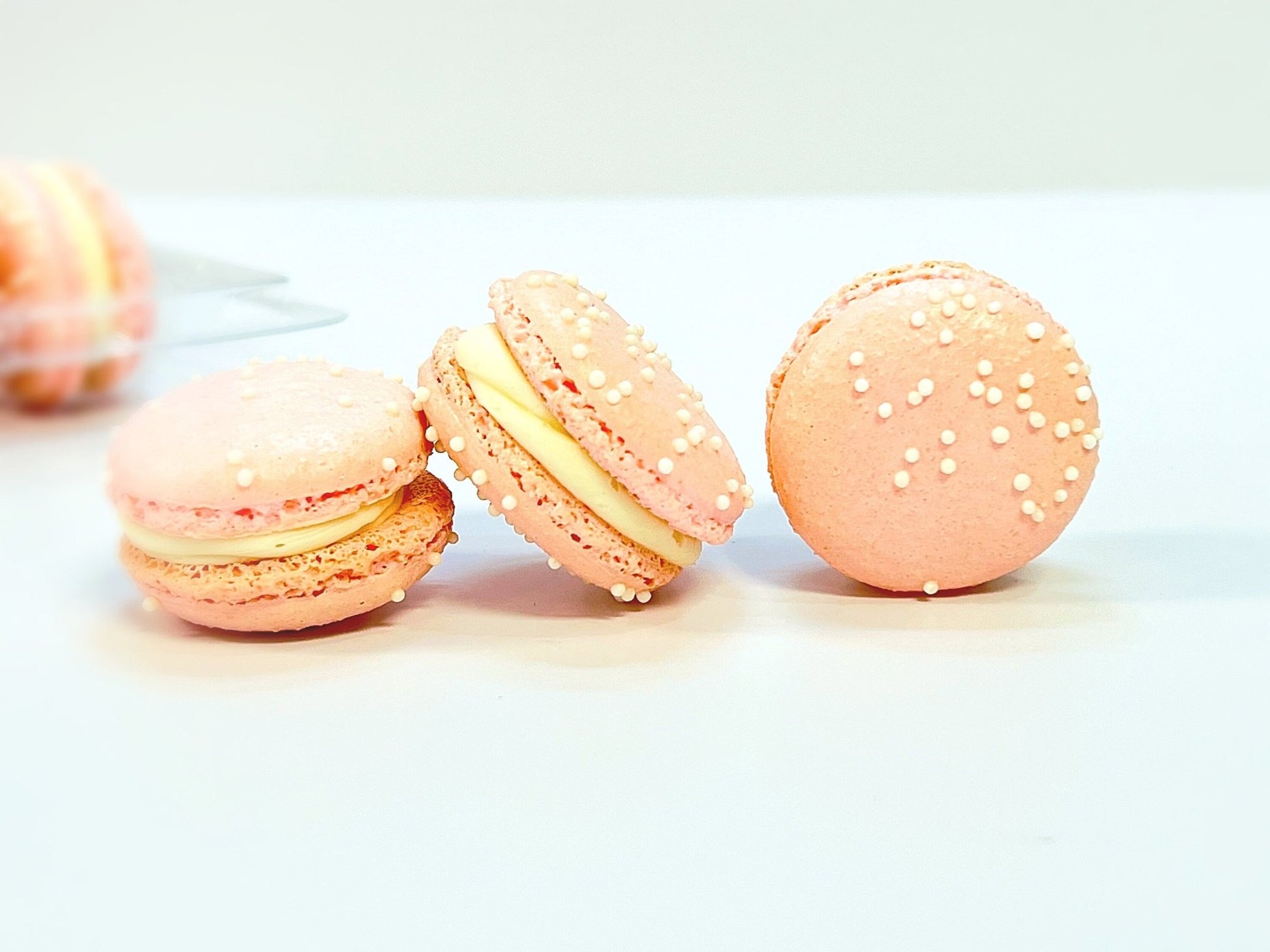 50 Pack Peppermint Raspberry French Macaron Value Pack - Macaron Centrale