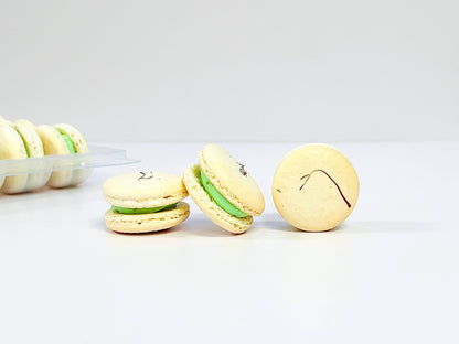 50 Pack Saffron Pistachio French Macaron Value Pack - Macaron Centrale
