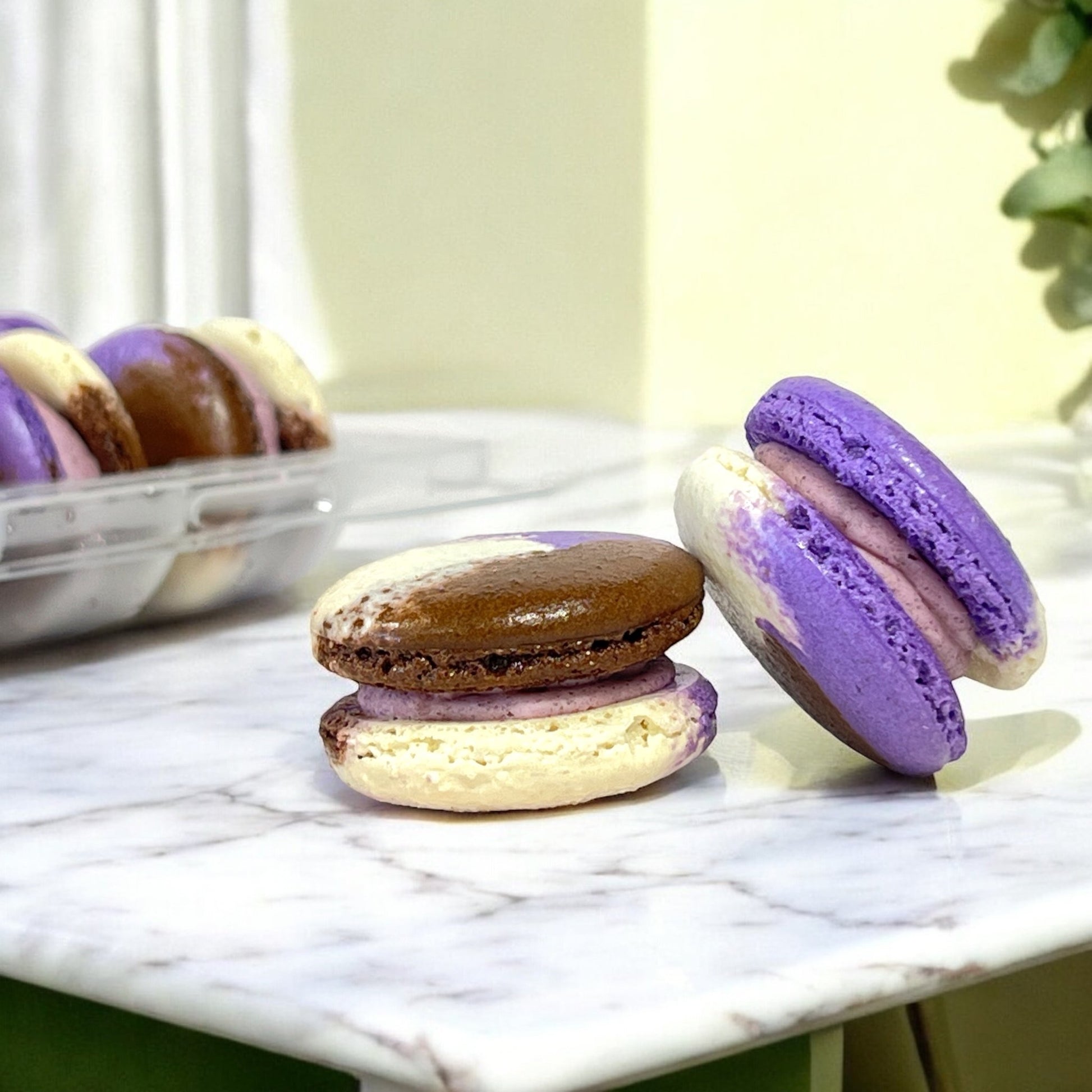 50 Pack Ube Coconut French Macaron Value Pack - Macaron Centrale