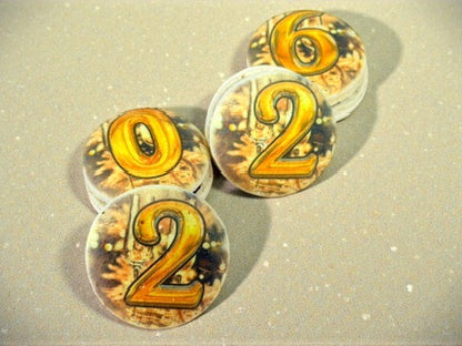⭐ Amber Celebration 2026 | New Year Macarons Gift Set