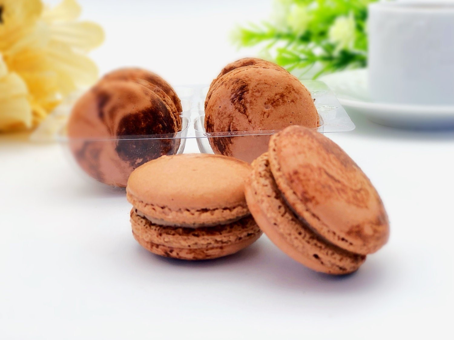 6 Pack coffee macarons - Macaron Centrale