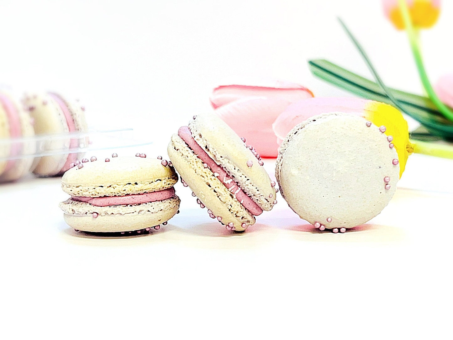 6 Pack Gourmet Taro French Macarons - Macaron Centrale