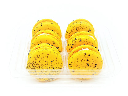 6 Pack Salted Pecan Macarons - Macaron Centrale