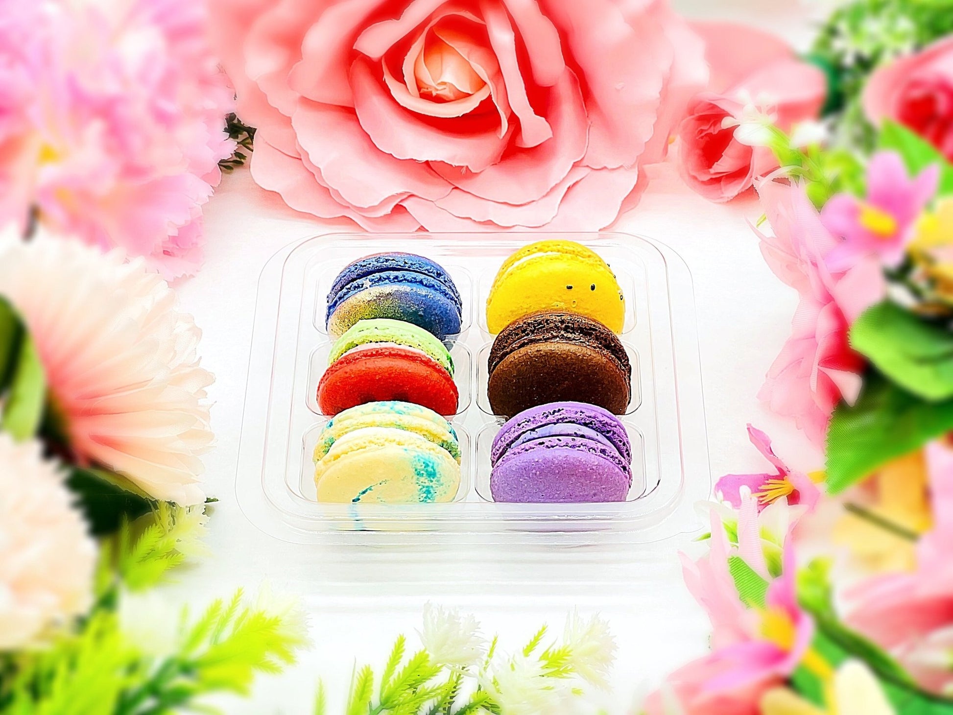 6 Pack | Surprise Me! French Macarons - Macaron Centrale