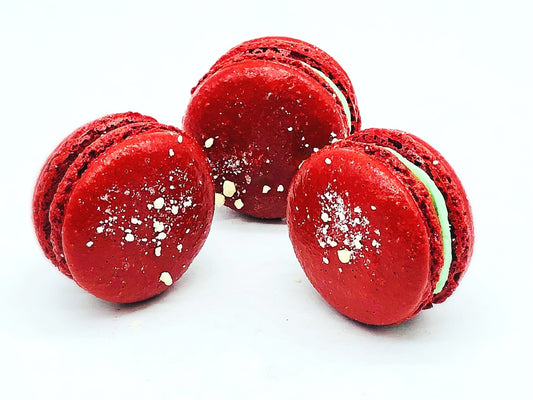 6 Pack White Chocolate - Kiwi Macarons - Macaron Centrale