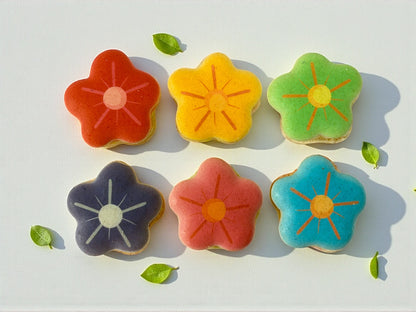 🌸  Blossom Garden French Macarons