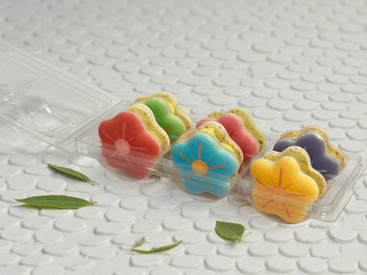 🌸  Blossom Garden French Macarons