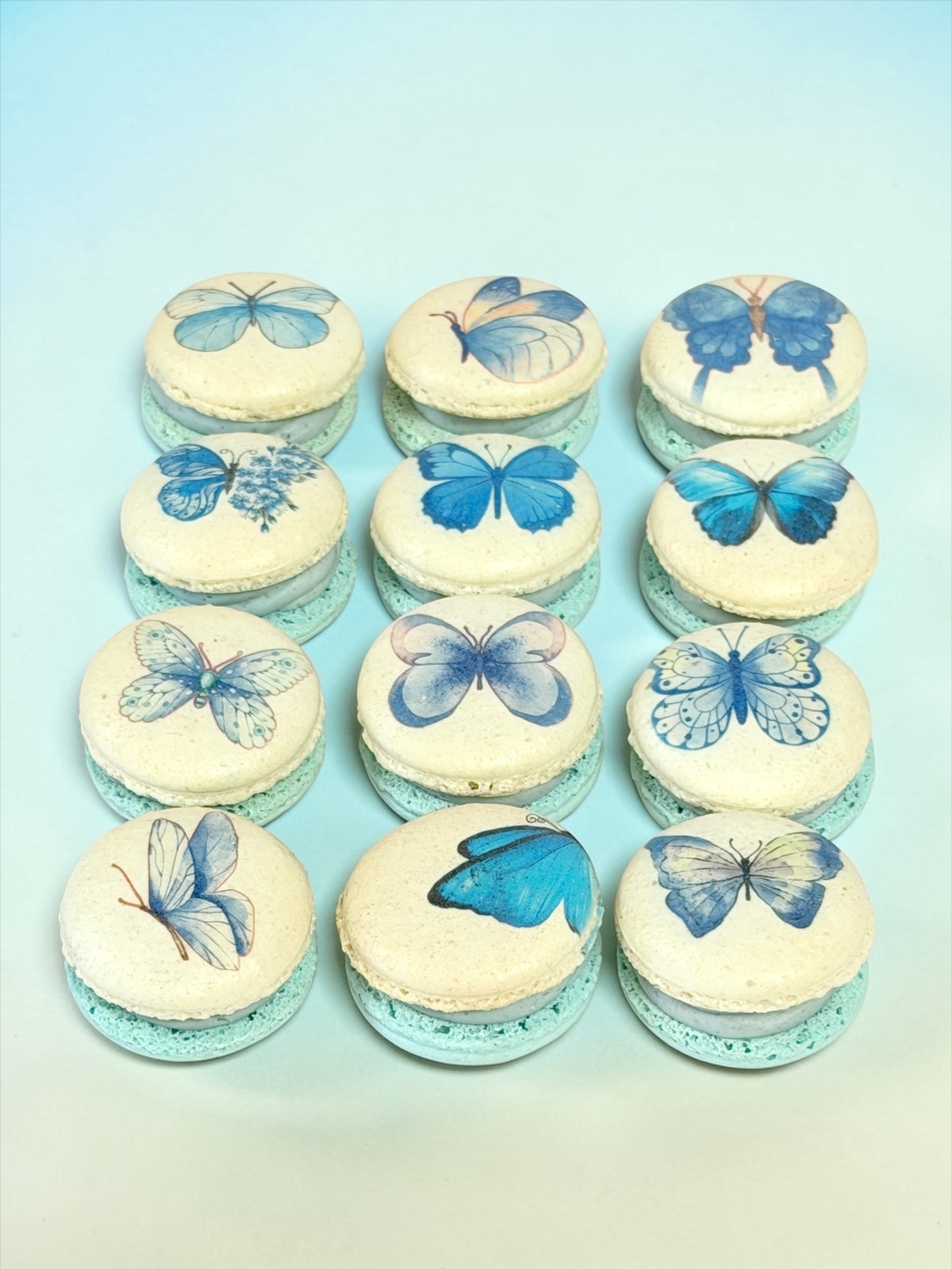 Blue Butterfly Bliss Macarons Packs of 6, 12, or 24