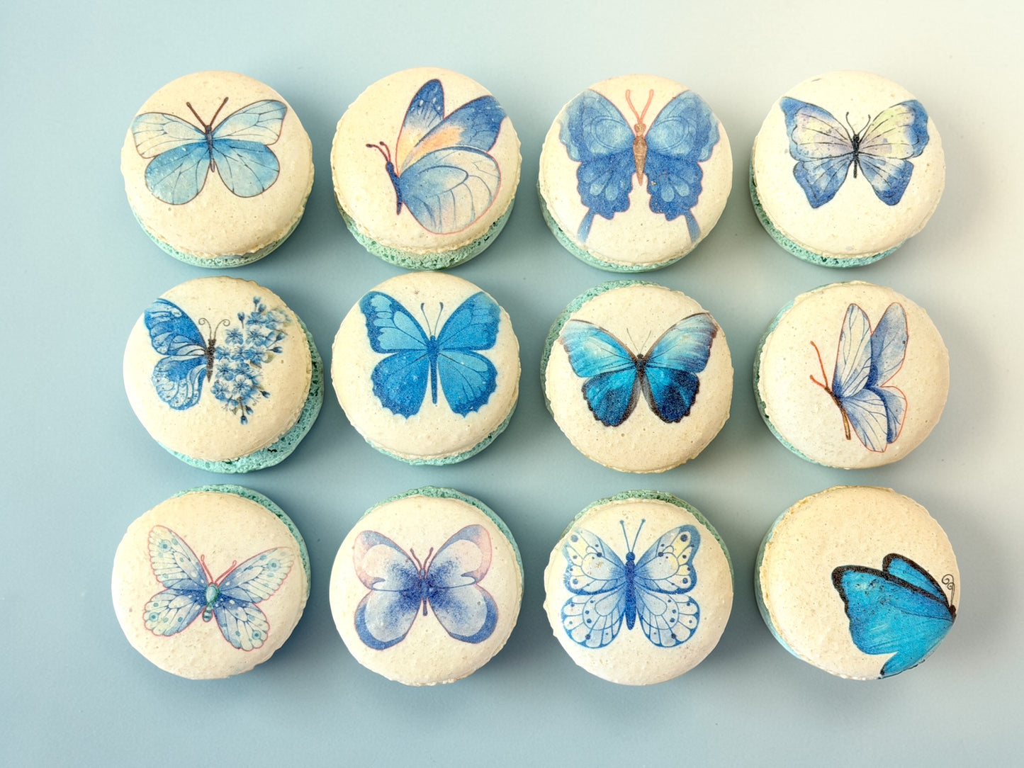 Blue Butterfly Bliss Macarons Packs of 6, 12, or 24