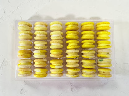 Lemon Vibe: A Flavorful Quartet of French Macarons in One Set | 36 Pack