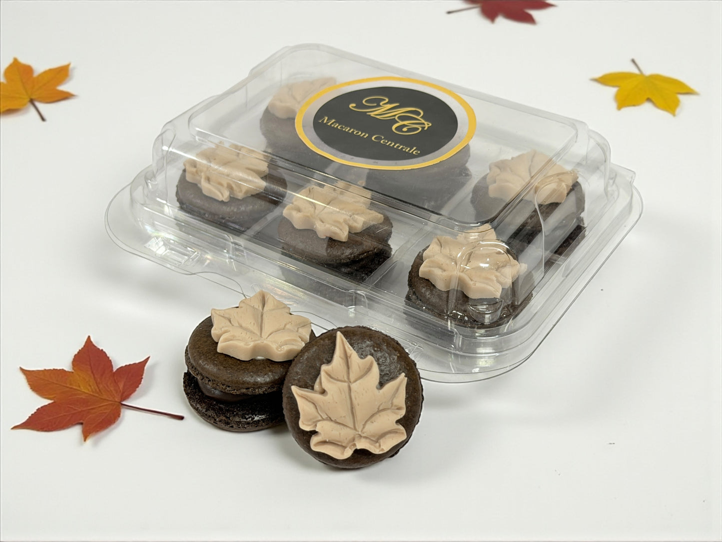 Maple Leaf Chocolate Charm French Macarons