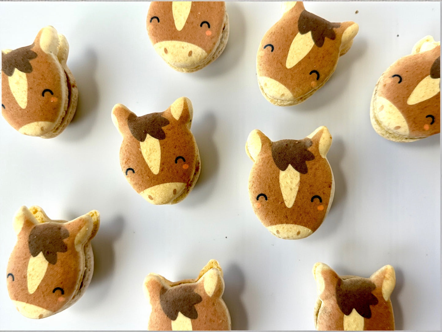 Gallop of Joy | Horse-Themed French Macarons
