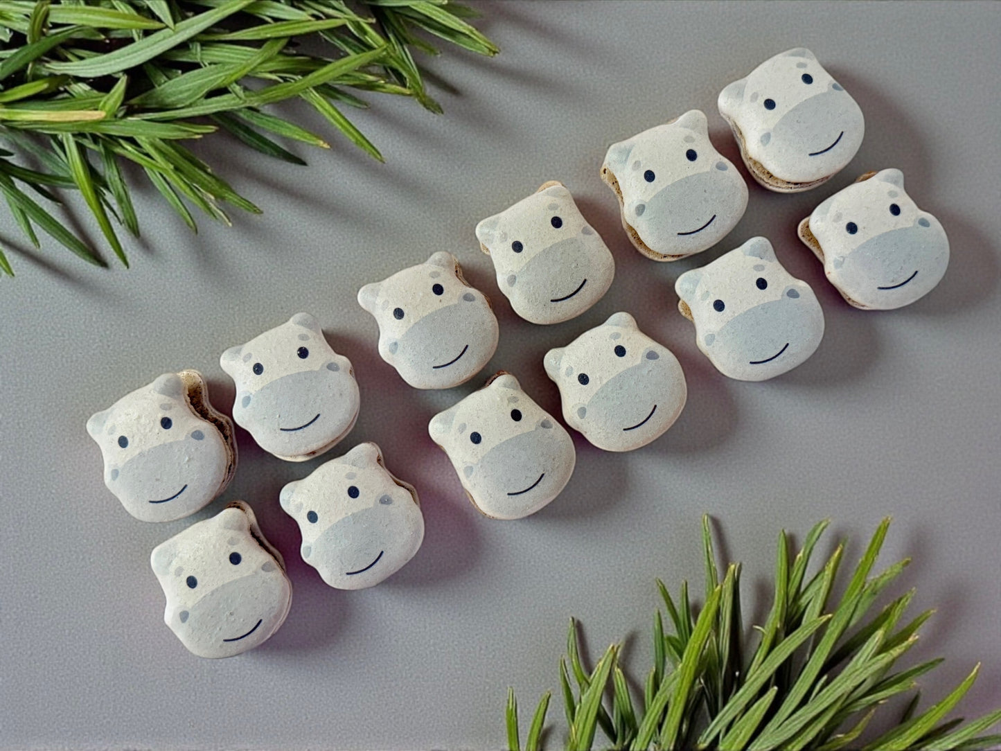 🦛 Adorable Hippo French Macarons