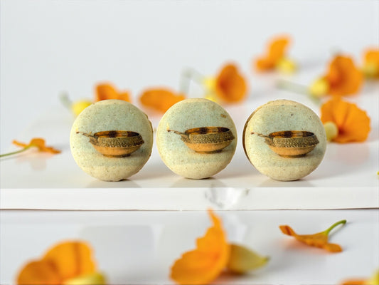 Vegan Diwali Macaron