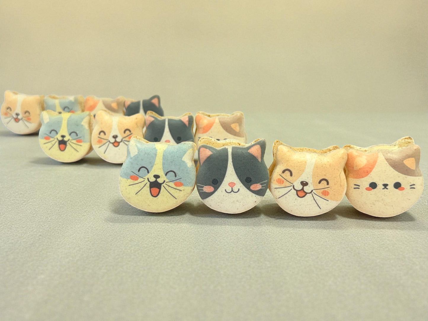 Purrfect Friends | Cat-Shaped French Macarons