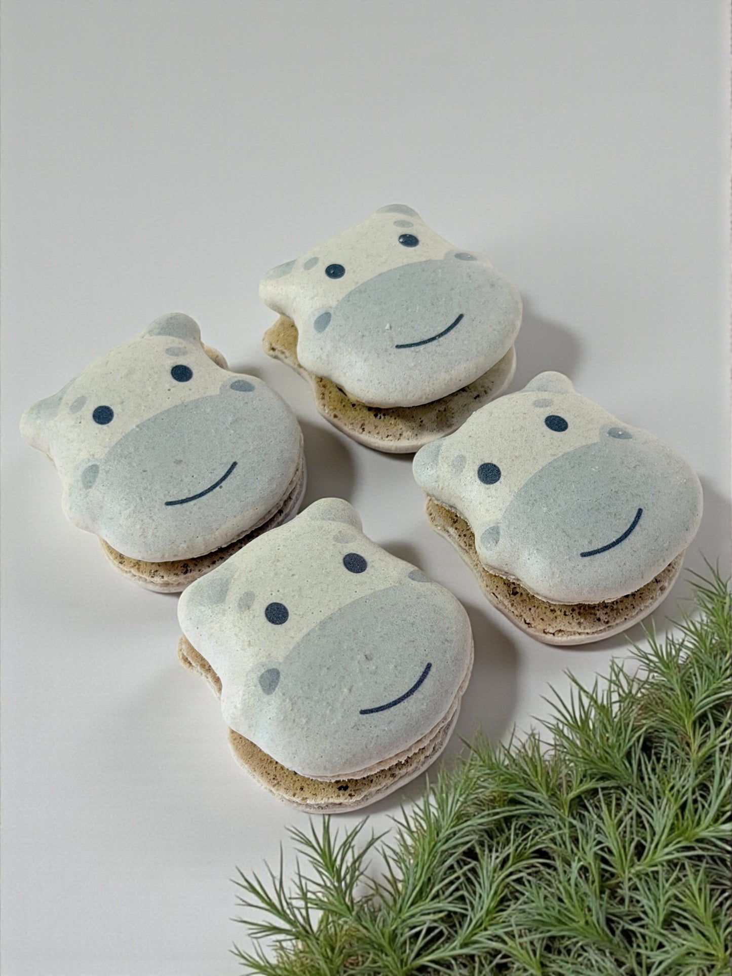 🦛 Adorable Hippo French Macarons