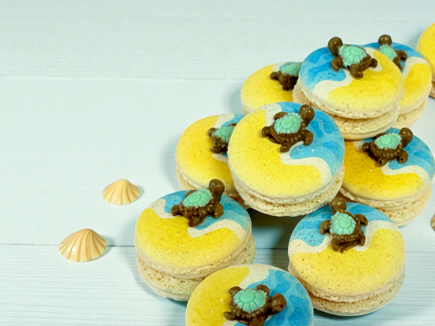 Turtle by the Shore French Macarons
