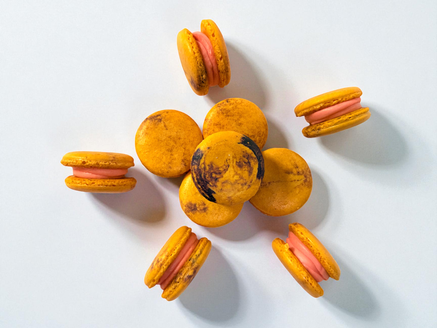 50 Pack Blood Orange Blackberry French Macaron