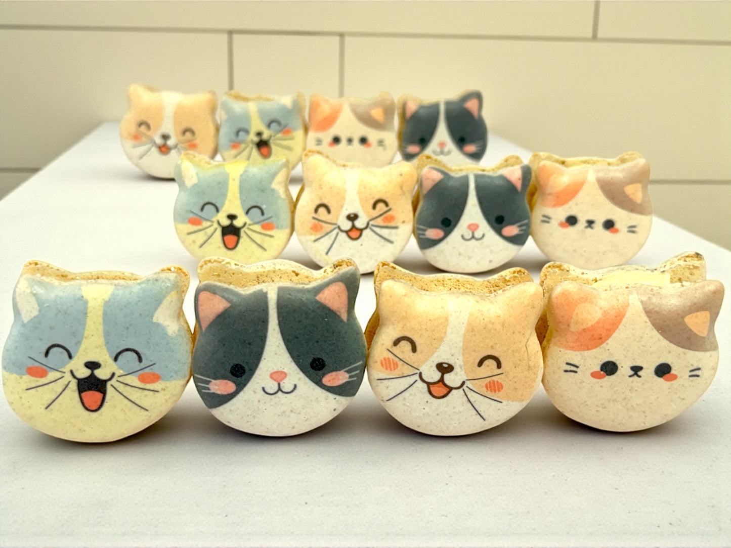 Purrfect Friends | Cat-Shaped French Macarons