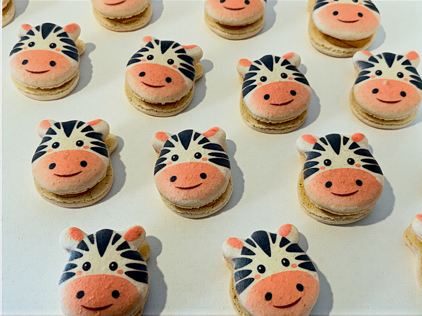 Ziggy the Zebra French Macarons