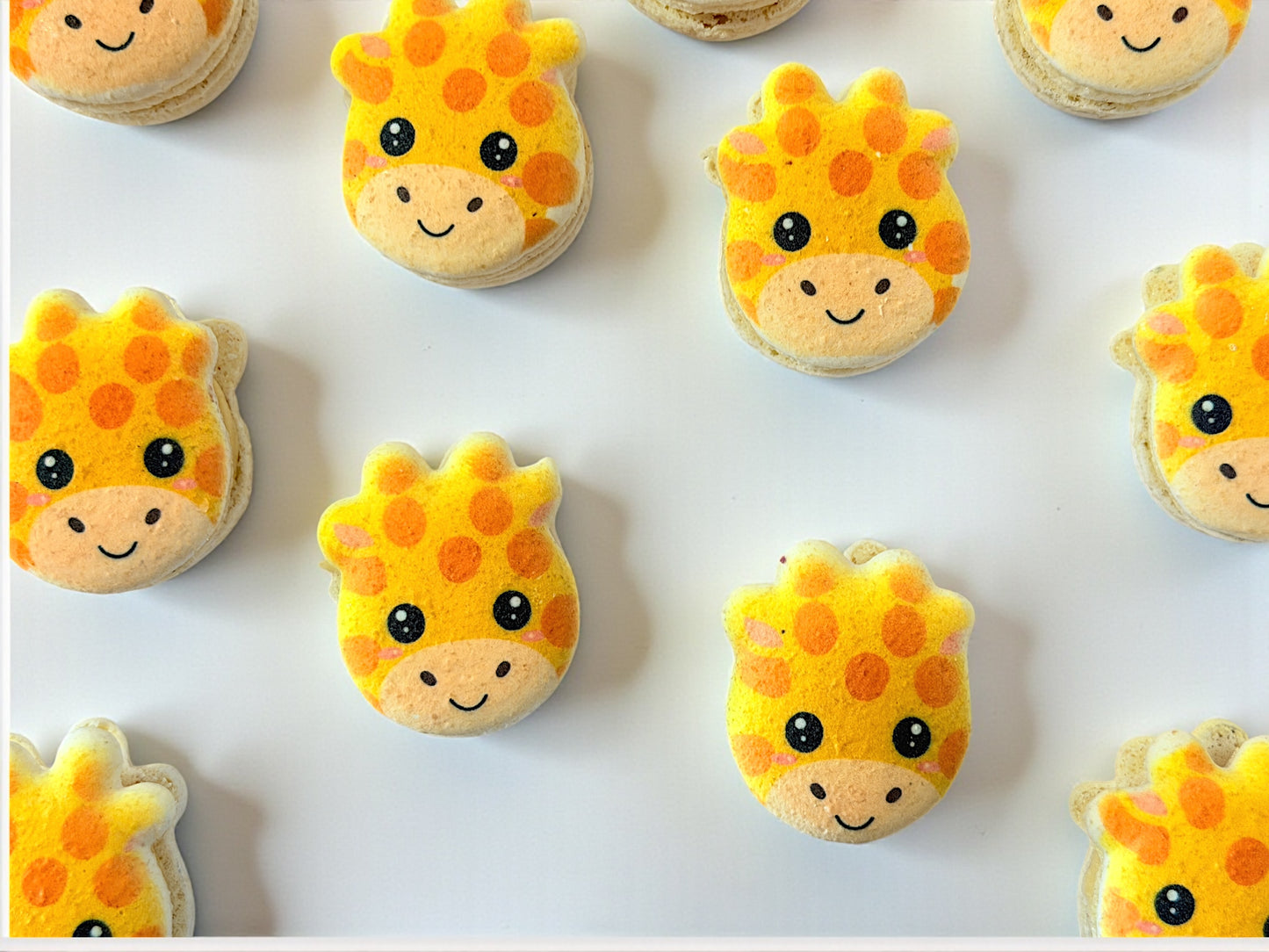 🦒 Little Giraffe French Macarons