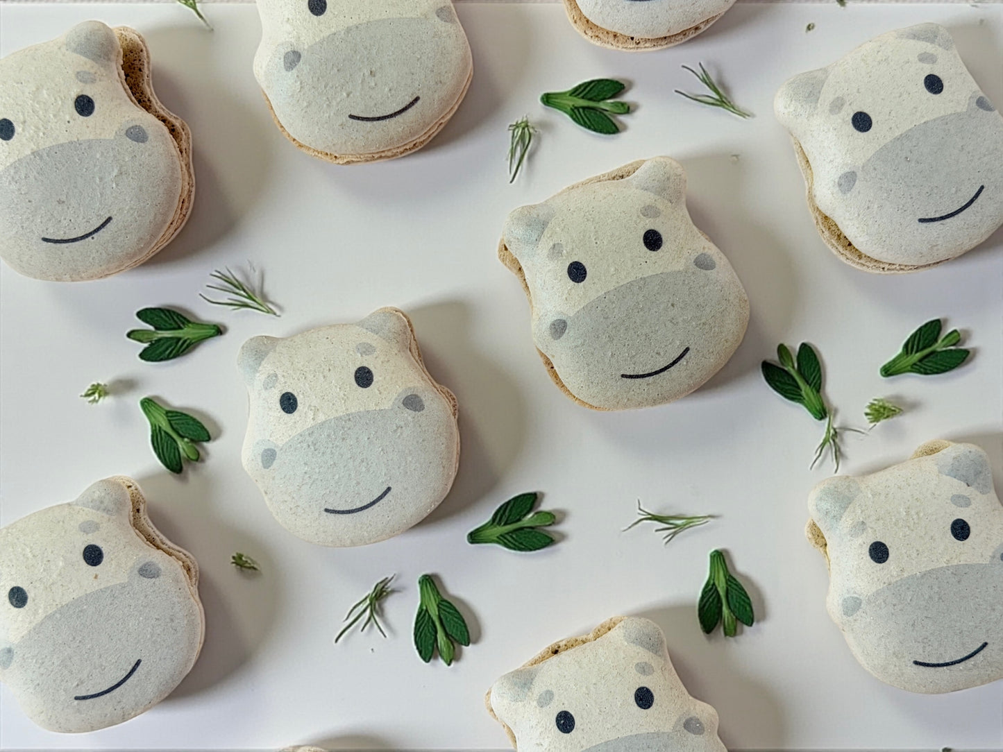 🦛 Adorable Hippo French Macarons