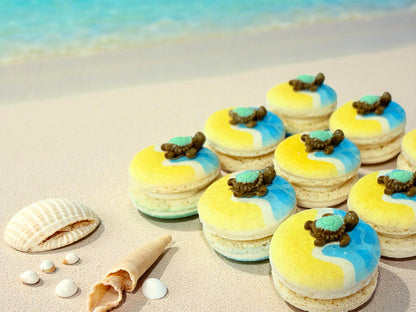 Turtle by the Shore French Macarons