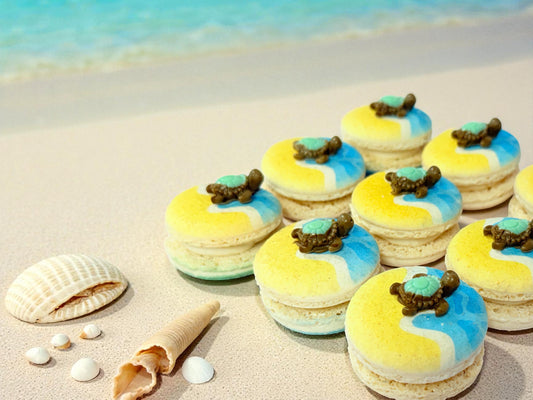Turtle by the Shore French Macarons