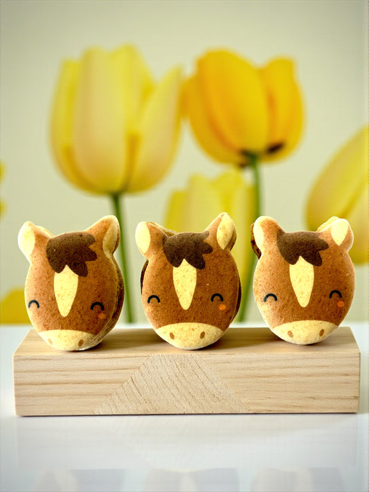 Gallop of Joy | Horse-Themed French Macarons