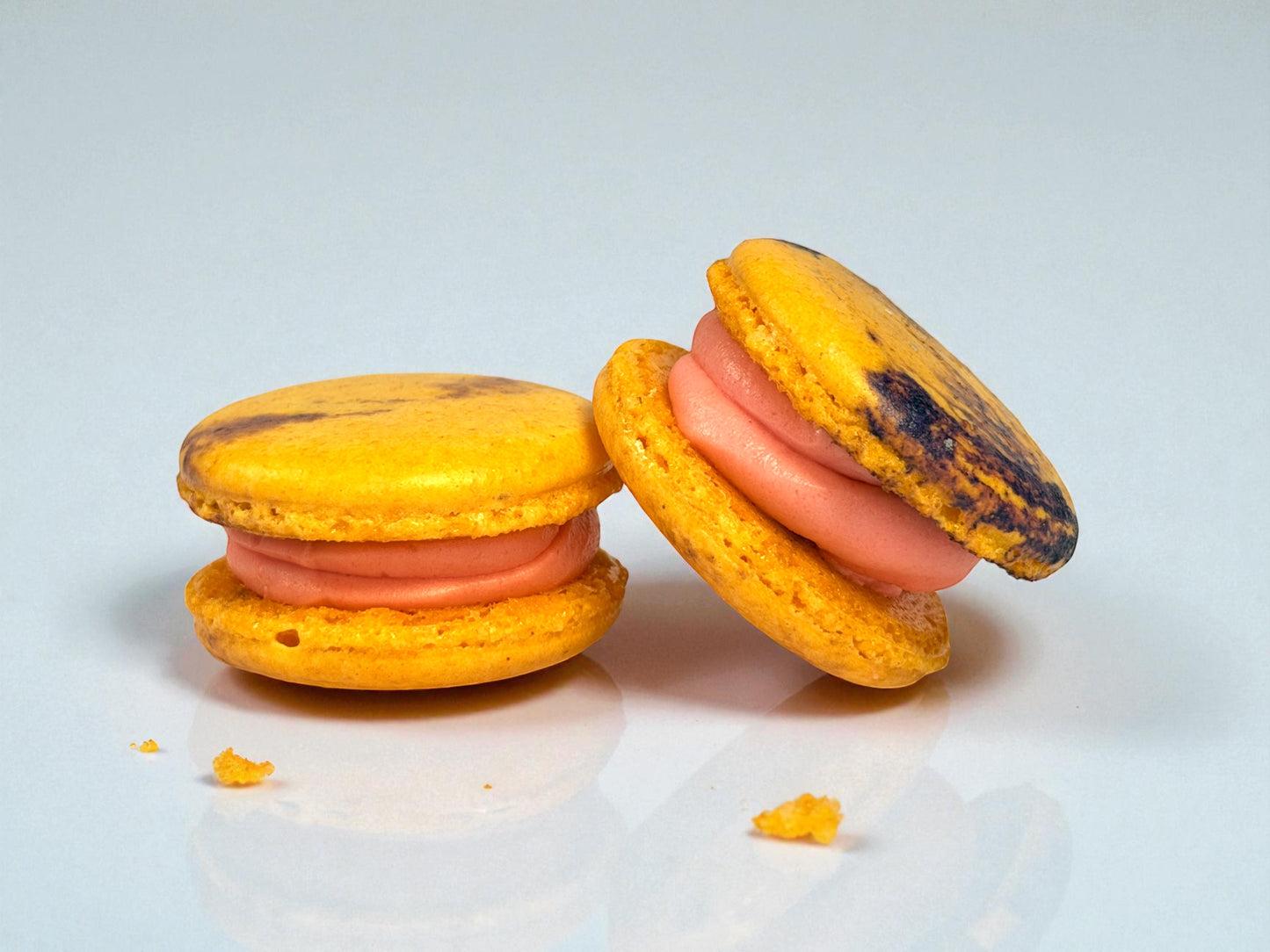 50 Pack Blood Orange Blackberry French Macaron