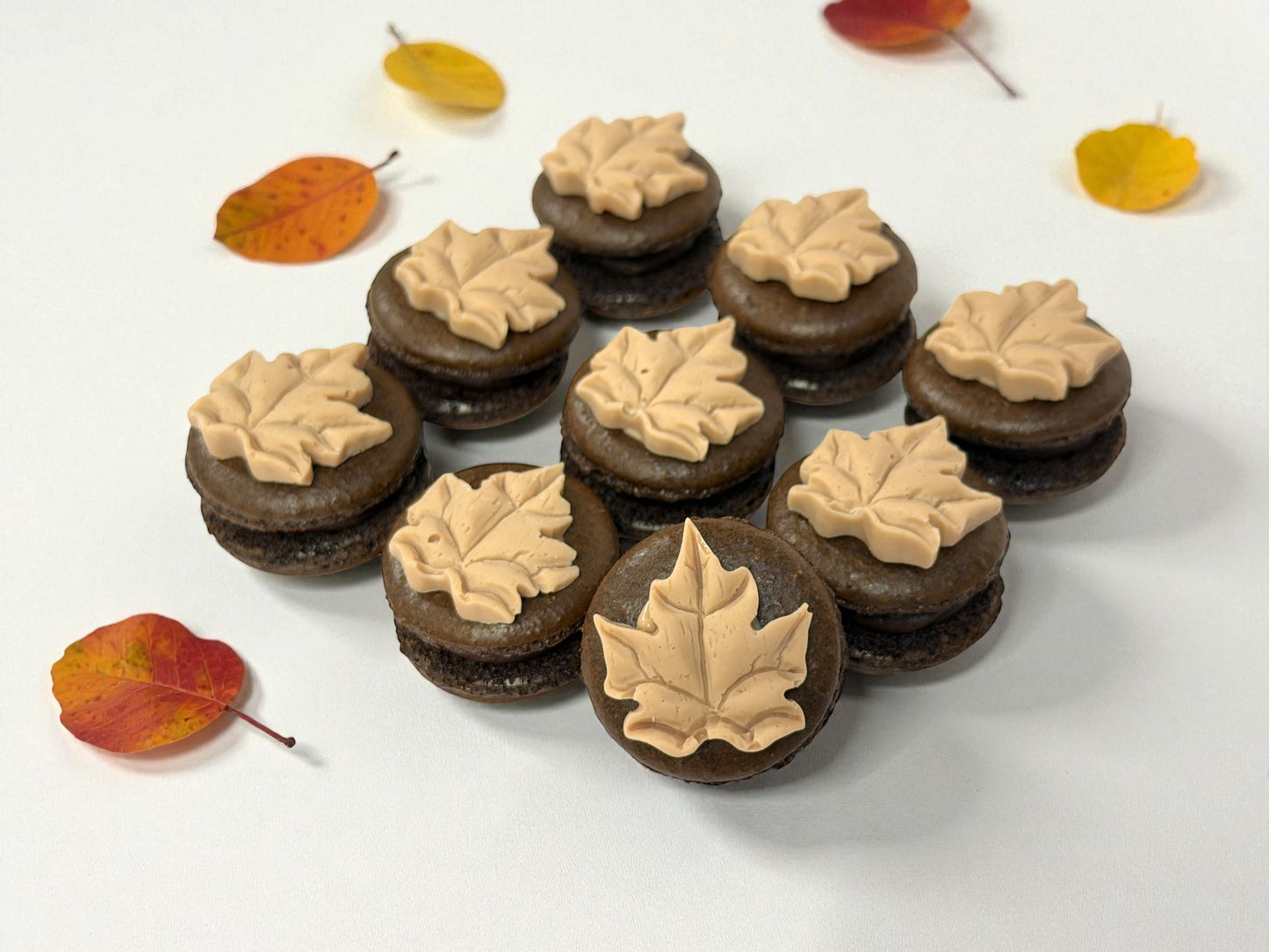 Maple Leaf Chocolate Charm French Macarons