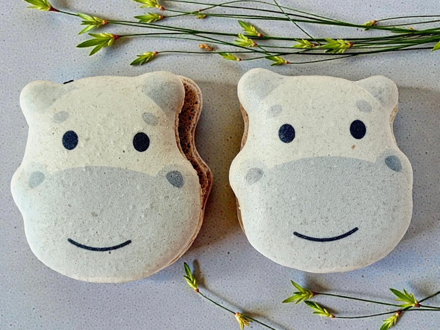 🦛 Adorable Hippo French Macarons