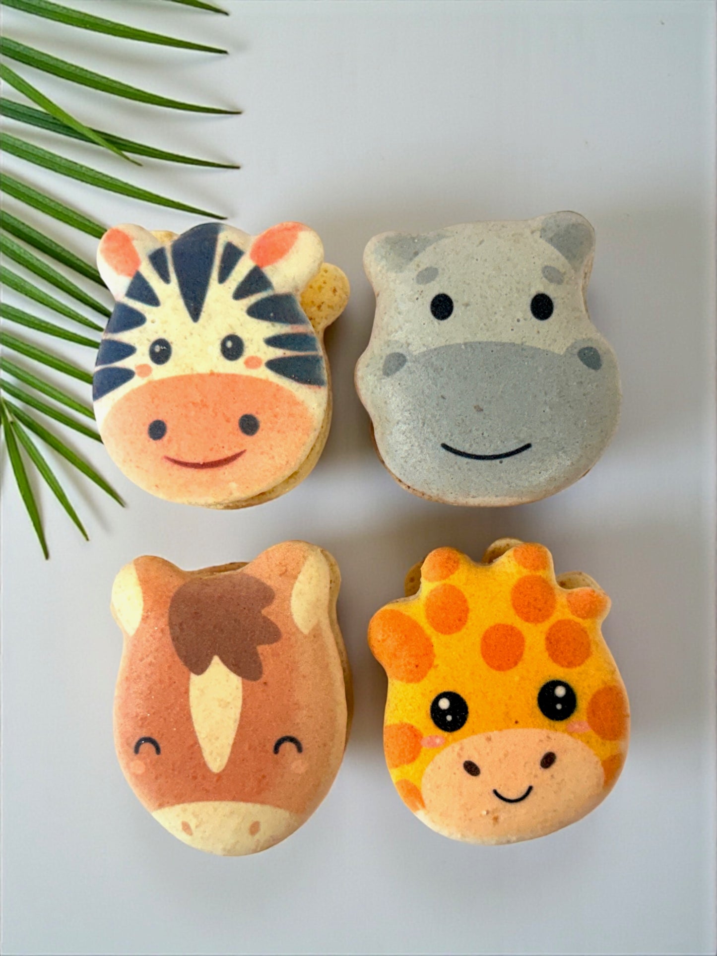 🦒 Safari Friends Macaron Set (4 Animals)