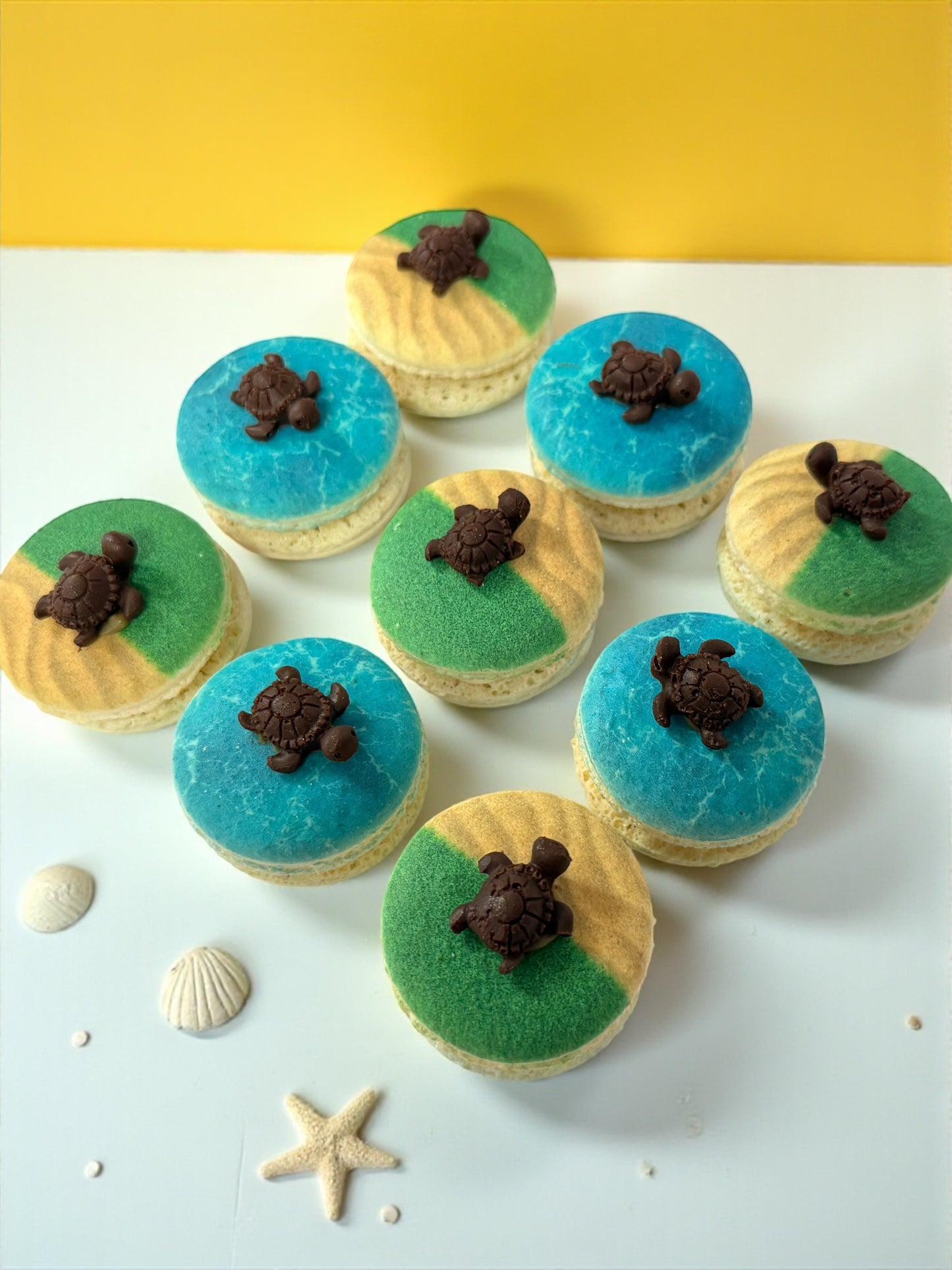 Turtle by the Reef French Macarons