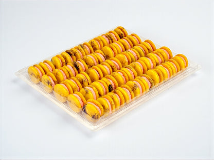 50 Pack Blood Orange Blackberry French Macaron