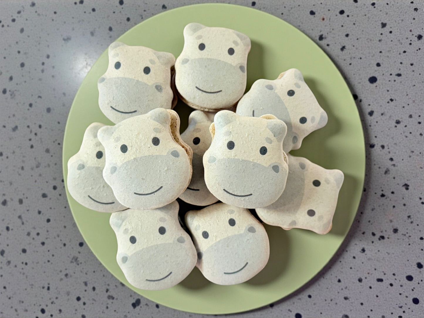 🦛 Adorable Hippo French Macarons