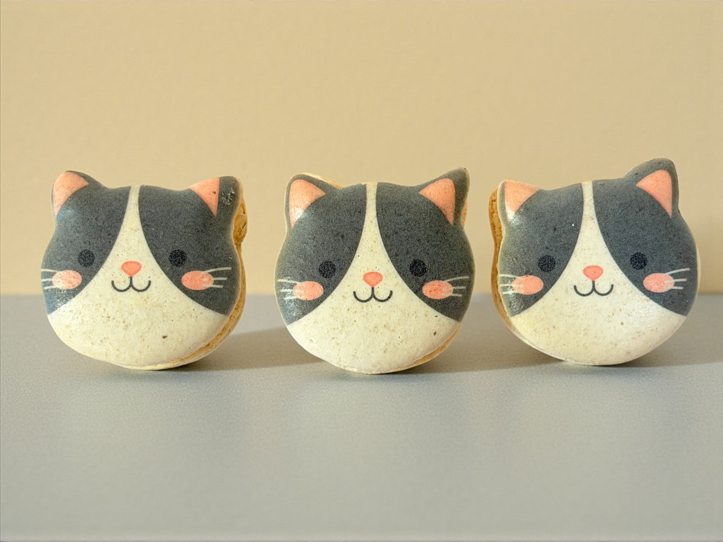 Purrfect Friends | Cat-Shaped French Macarons