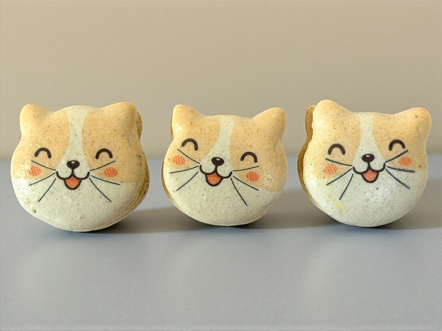 Purrfect Friends | Cat-Shaped French Macarons