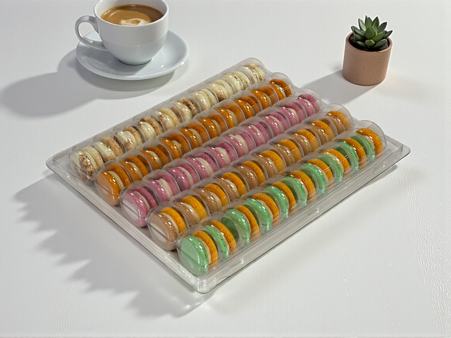 Fall Macaron Variety Pack – 50 French Macarons (10 Each Flavor)