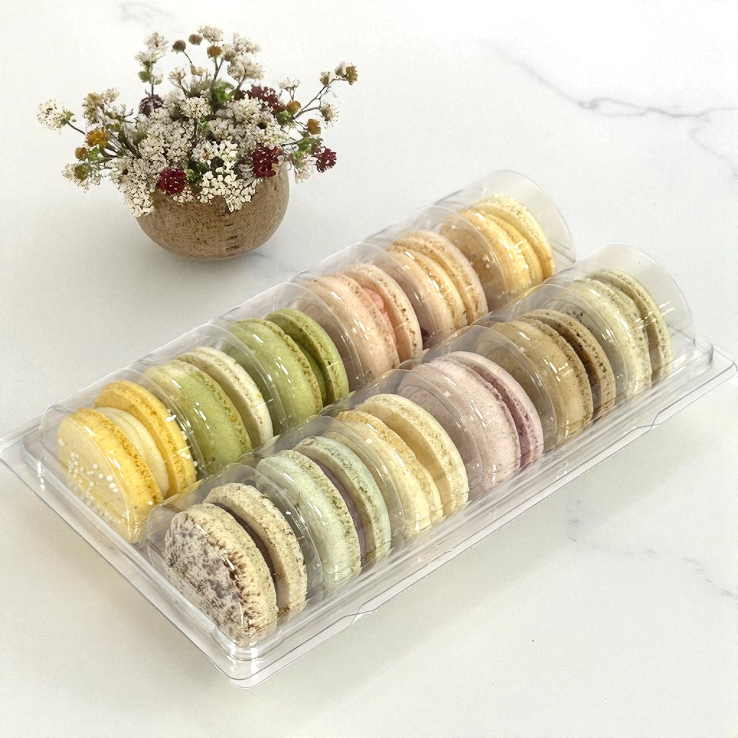 12 Naturally Vegan Surprise Me Assortment Macaron Set