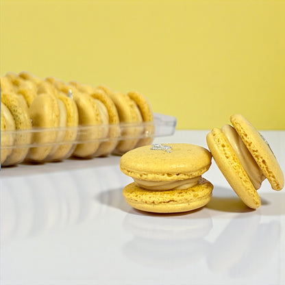6 Pack Kaju Katli French Macaron