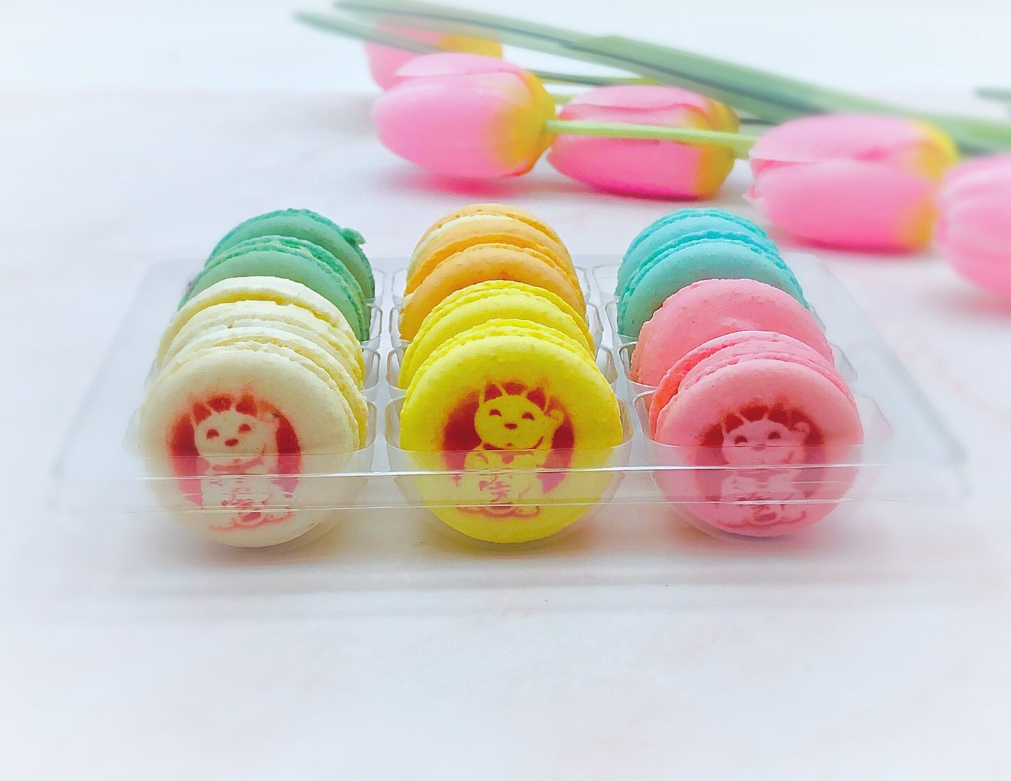 Assorted Fruit Flavor Macarons Decorated With the Lucky Cat Icon - Macaron Centrale6 Pack
