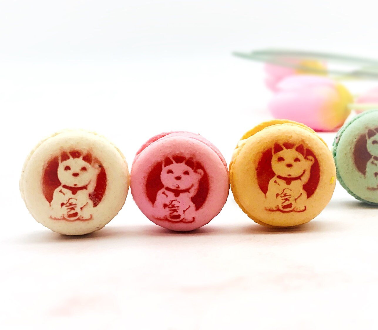 Assorted Fruit Flavor Macarons Decorated With the Lucky Cat Icon - Macaron Centrale6 Pack