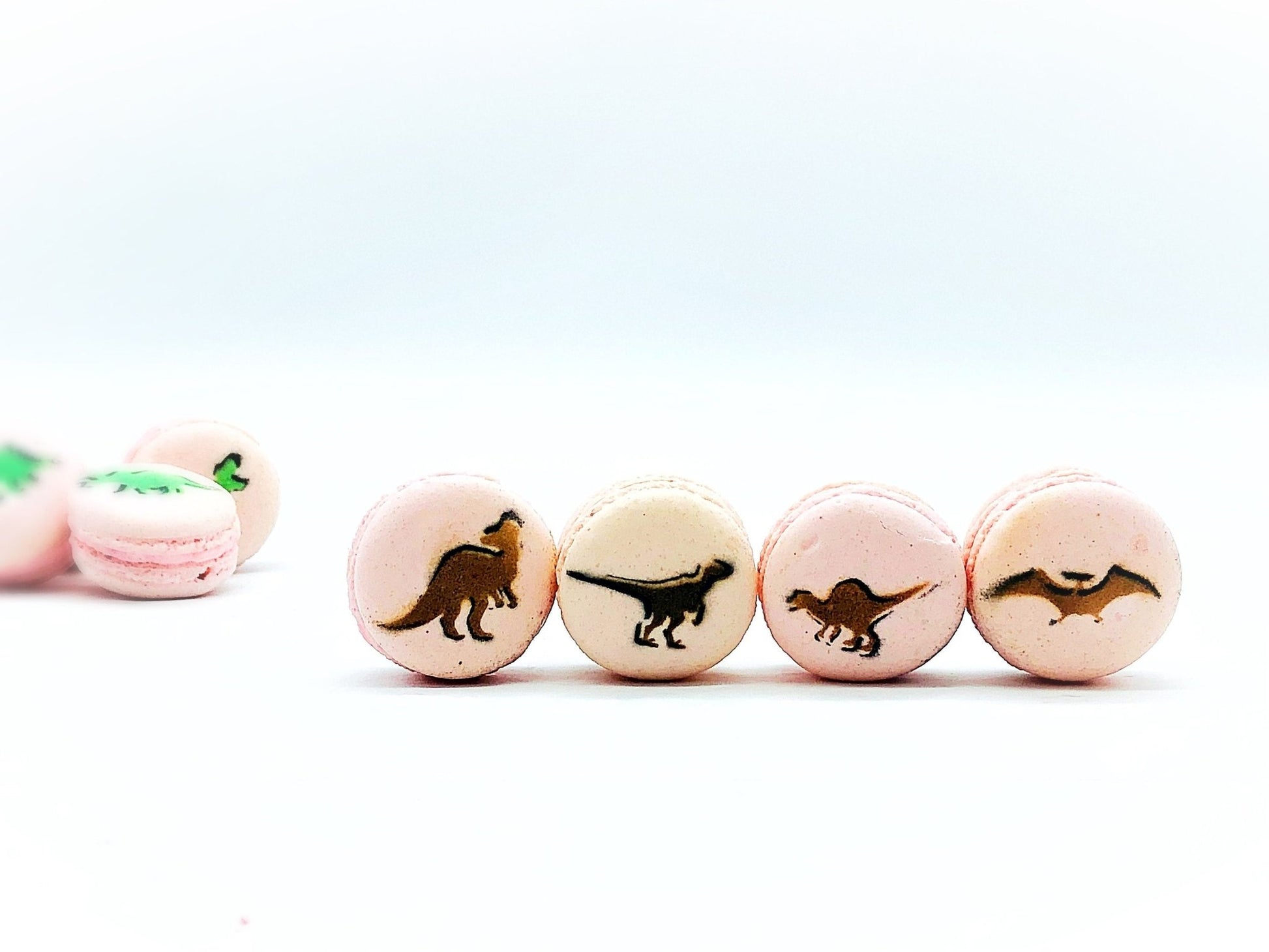 Dinosaur French Macaron Set (12 Pack) | Great addition to your dessert table with Jurassic theme party - Macaron CentraleBrown + BlackLight Pink Raspberry
