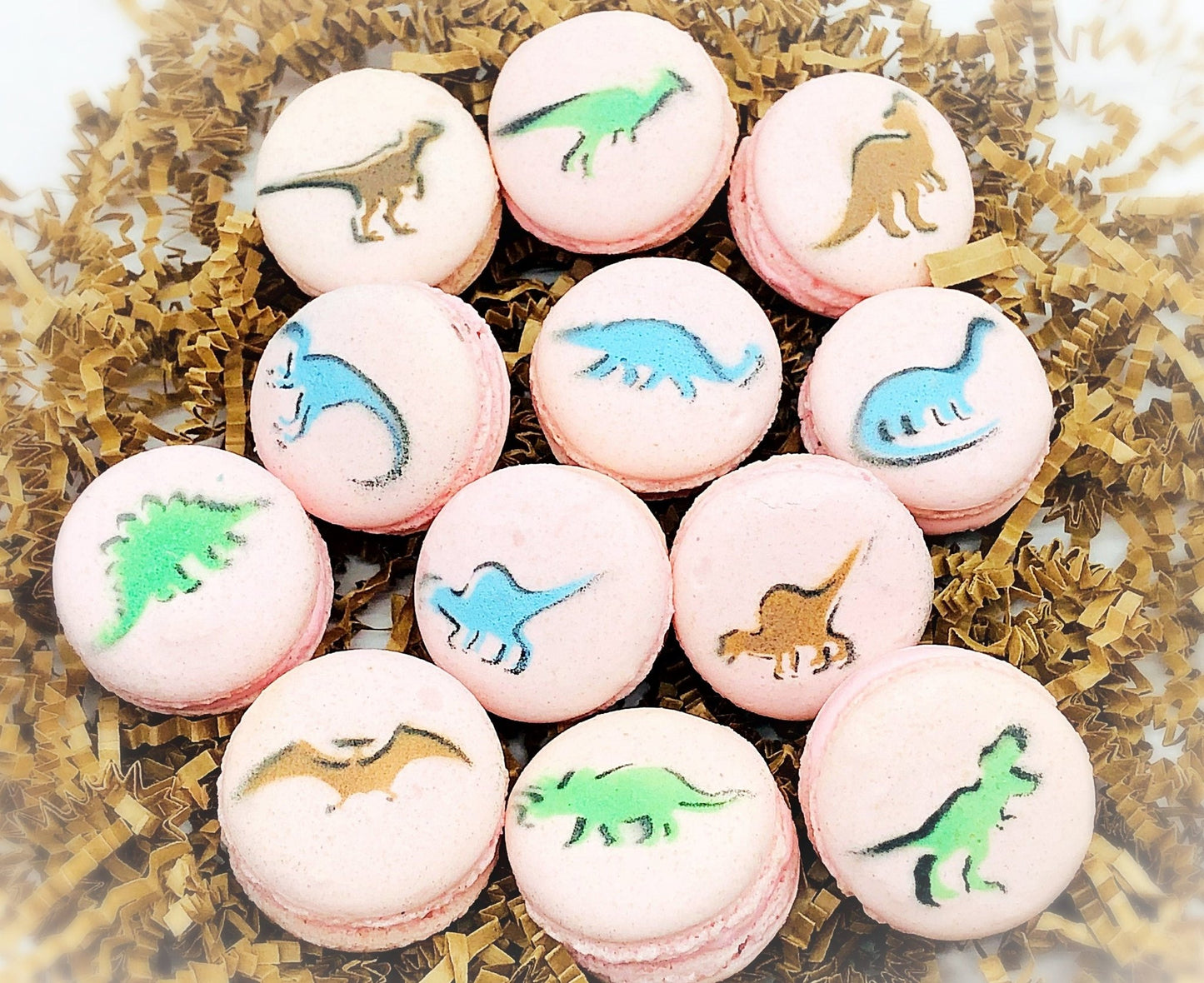 Dinosaur French Macaron Set (12 Pack) | Great addition to your dessert table with Jurassic theme party - Macaron CentraleBrown + BlackLight Pink Raspberry
